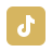 tiktok icon